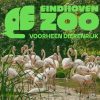 Eindhoven Zoo